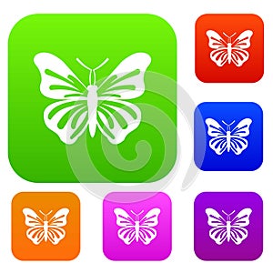 Butterfly set collection