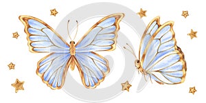 Butterfly Set Watercolor illustration. Hand drawn clip art on white isolated background. Drawing of insect with blue and