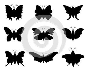 Butterfly Silhouette