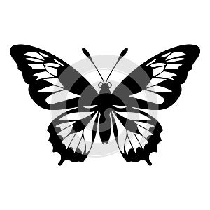 Butterfly silhouette in black and white colors.