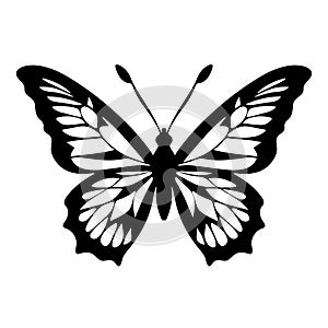 Butterfly silhouette in black and white colors.