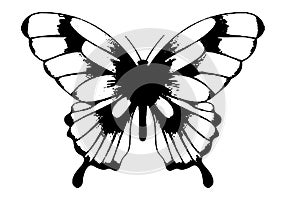 butterfly silhouette black and white vector image Wild animal portrait, beauty, body line art. For use as a brochure template or