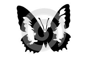 butterfly silhouette black and white vector image Wild animal portrait, beauty, body line art. For use as a brochure template or