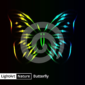 Butterfly silhouette of lights on black background