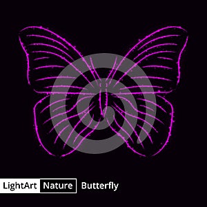 Butterfly silhouette of lights on black background