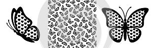 Butterfly silhouette and seamless pattern