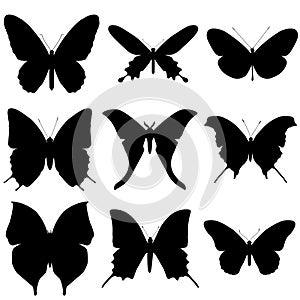 Butterfly silhouette set. Icon collection.