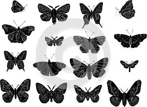 Butterfly silhouettes