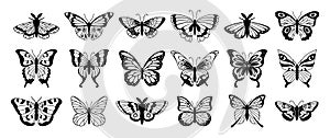 Butterfly silhouettes. Cute spring insects with openwork wings, flying butterfly. Winged insect, various detail
