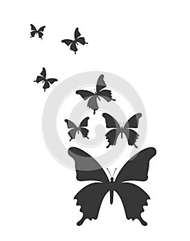 Butterfly silhouettes design