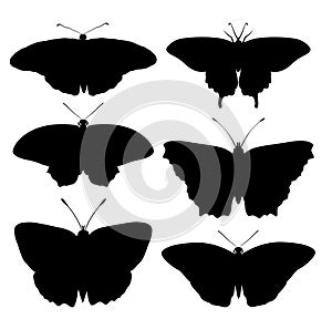 Butterfly silhouettes isolated birds insects