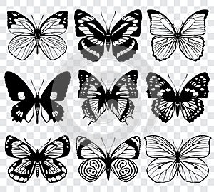 Butterfly silhouettes vector macro collection