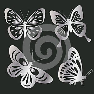 butterfly silver silhouette, on a black background, isolated