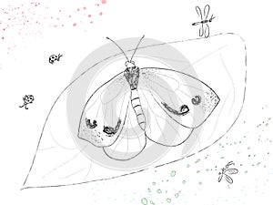 Butterfly sits on a leaf, top view. Ladybugs and dragonflies are flying around. Handdrowing. Black and white. Vector