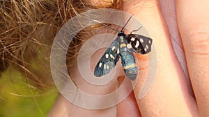 Butterfly sits on a man hand. Blue, fragile butterfly wings on man fingers create harmony of nature, beauty magic close-up. Macro.