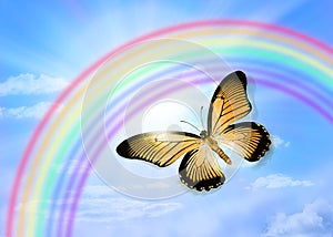 Butterfly Sky Rainbow