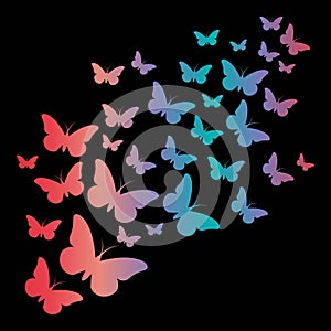 Butterfly stencil gradient art photo