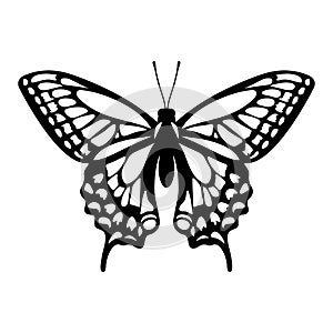 Butterfly stencil, butterfly silhouette, vector illustration