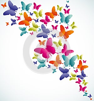 Butterfly summer splash