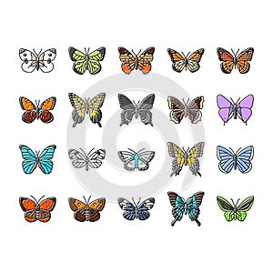 butterfly summer spring insect icons set vector