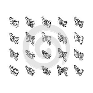 butterfly summer spring insect isometric icons set vector