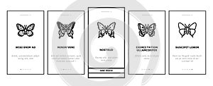 butterfly summer spring insect onboarding icons set vector