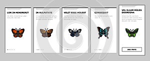 butterfly summer spring insect onboarding icons set vector