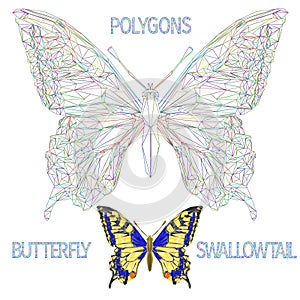 Butterfly Swallowtail Papilio machaon Linnaeus  insect multicolored outline  and nature polygons  vector illustration