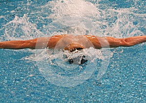 Butterfly Swimming