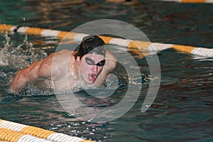 Butterfly Swimming