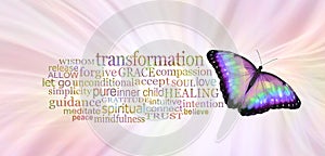 The Butterfly Symbolises Transformation Word Tag Cloud