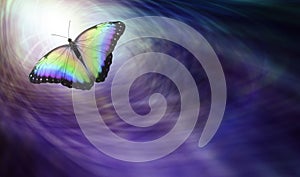 Farfalla simboleggiante spirituale versione 