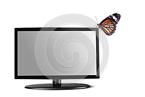 Butterfly on Television
