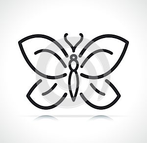 Butterfly thin line icon isolated