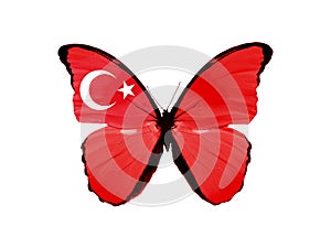 butterfly with turkey flag on wings, isolated on white background. starry striped flag
