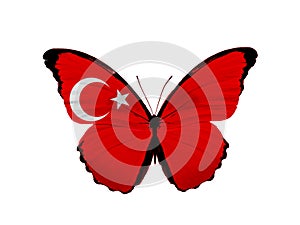 Butterfly with turkey flag on wings, isolated on white background. starry striped flag