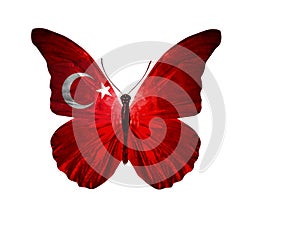 butterfly with turkey flag on wings, isolated on white background. starry striped flag