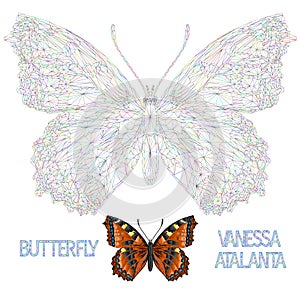 Butterfly Vanessa atalanta  meadow and forest insect polygons  vector illustration editable hand draw