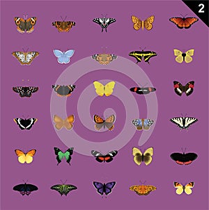 Butterfly Various Cartoon Vector Illustration Set 2