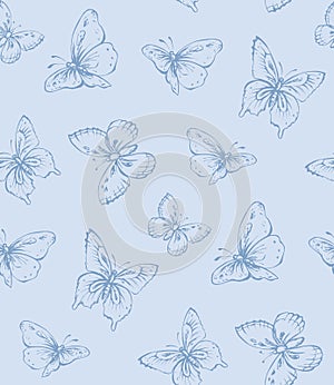 Butterfly. Vector drawing