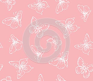Butterfly. Vector drawing