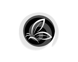 Butterfly vector icon