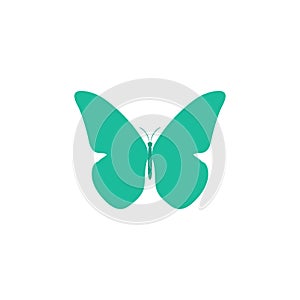 Butterfly. Butterfly vector icon. Butterfly isolated in flat design