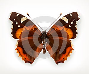 Butterfly, vector icon