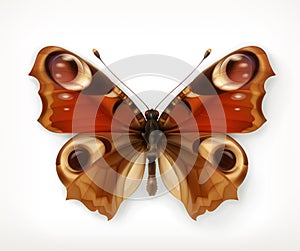 Butterfly vector icon