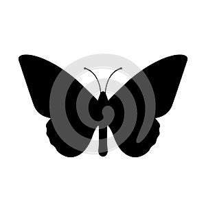 Butterfly vector icon