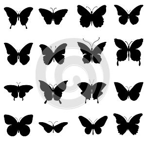 Butterfly vector icon set. insect illustration sign collection. moth symbol.