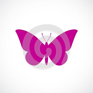 Butterfly vector icon