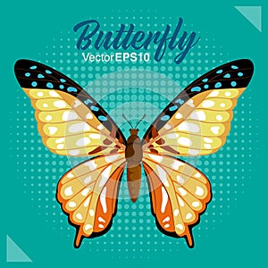 Butterfly vector illustration