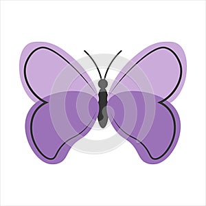 Butterfly Vector Illustration